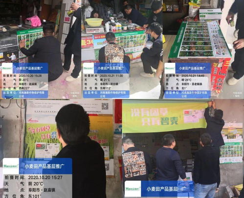 精準(zhǔn)破解麥田除草難，瀚斯專業(yè)方案阜陽獲盛贊